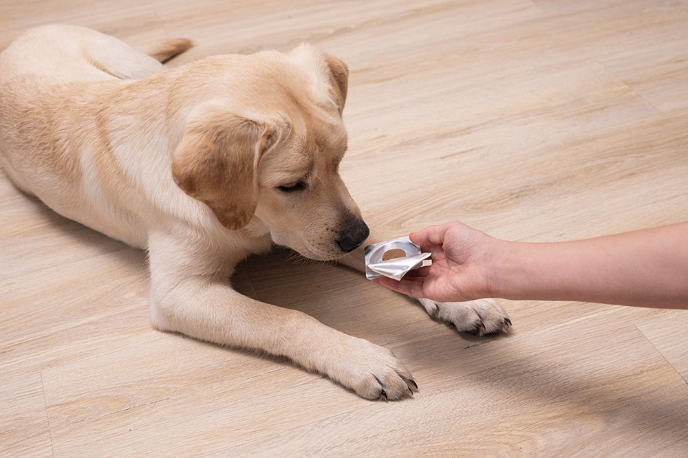 3 effective flea tablets for dogs