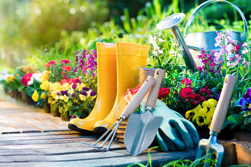 Try these 5 tips for creating a beautiful garden