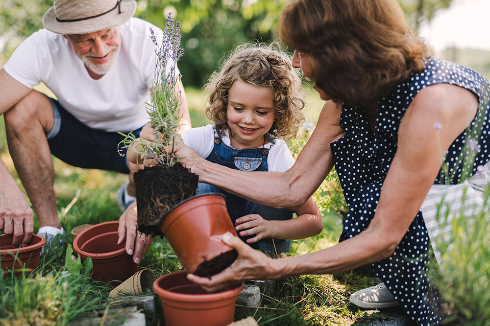 6 common gardening mistakes to avoid