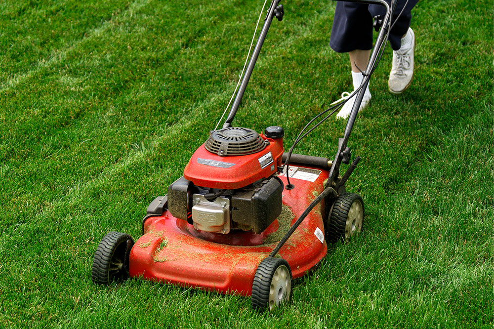 6 easy tips for maintaining a lawn