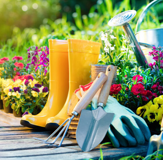 8 simple tricks every gardener should know
