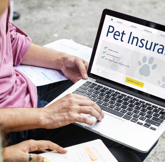 6 common mistakes to avoid while buying pet insurance